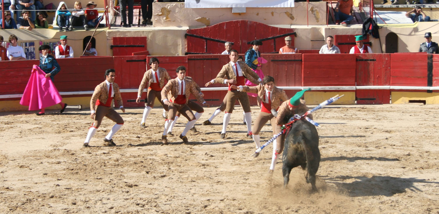 Grupo de forcados a fazer a pega de caras